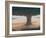 Tree, Holwell, 2012-Lincoln Seligman-Framed Giclee Print