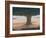Tree, Holwell, 2012-Lincoln Seligman-Framed Giclee Print