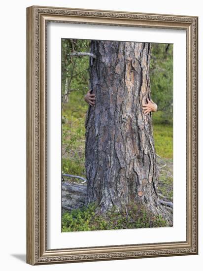 Tree Hug-Staffan Widstrand-Framed Giclee Print