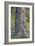 Tree Hug-Staffan Widstrand-Framed Giclee Print