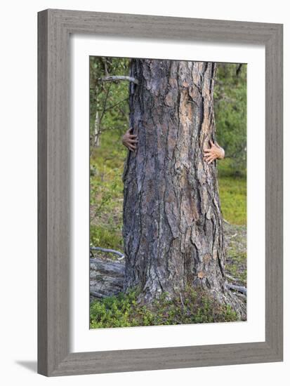 Tree Hug-Staffan Widstrand-Framed Giclee Print