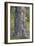 Tree Hug-Staffan Widstrand-Framed Giclee Print