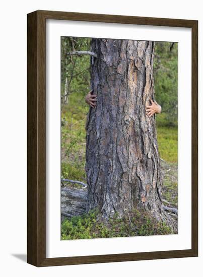 Tree Hug-Staffan Widstrand-Framed Giclee Print