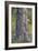 Tree Hug-Staffan Widstrand-Framed Giclee Print