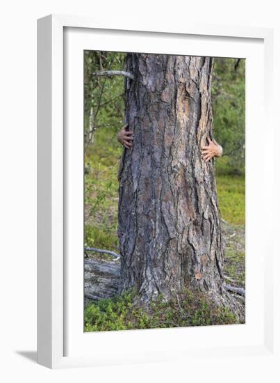 Tree Hug-Staffan Widstrand-Framed Giclee Print