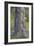 Tree Hug-Staffan Widstrand-Framed Giclee Print