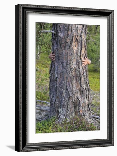 Tree Hug-Staffan Widstrand-Framed Giclee Print