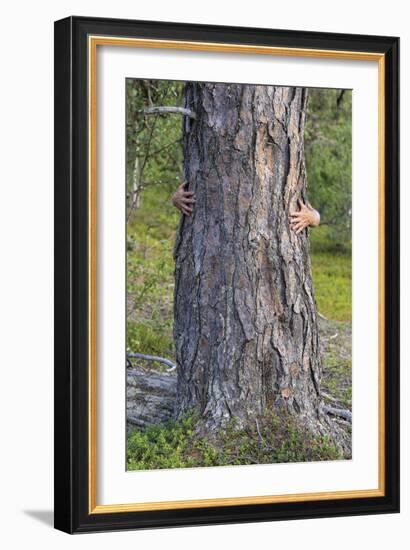 Tree Hug-Staffan Widstrand-Framed Giclee Print