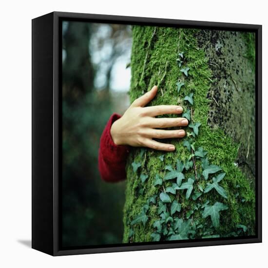 Tree Hugger-Michael Prince-Framed Premier Image Canvas