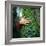 Tree Hugger-Michael Prince-Framed Photographic Print