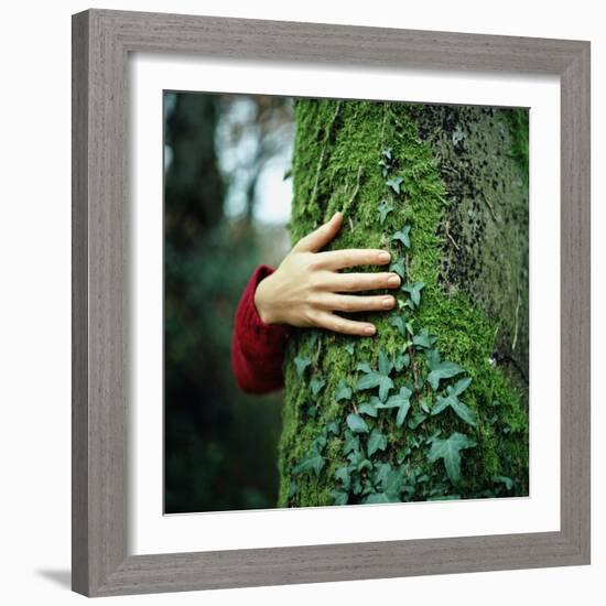 Tree Hugger-Michael Prince-Framed Photographic Print