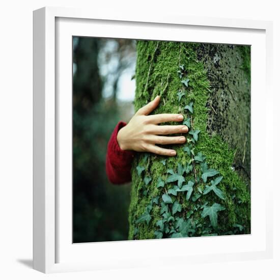 Tree Hugger-Michael Prince-Framed Photographic Print