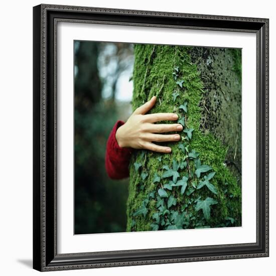 Tree Hugger-Michael Prince-Framed Photographic Print