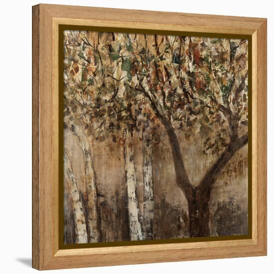 Tree Hugs-Jodi Maas-Framed Premier Image Canvas