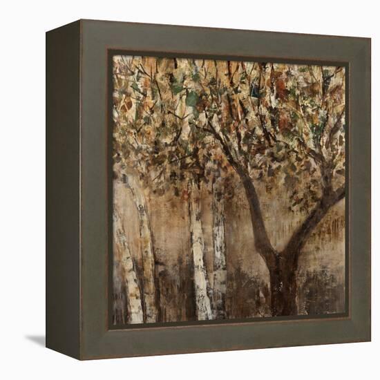 Tree Hugs-Jodi Maas-Framed Premier Image Canvas