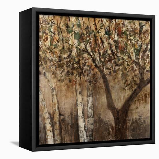 Tree Hugs-Jodi Maas-Framed Premier Image Canvas