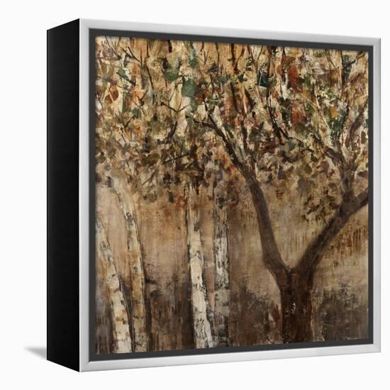 Tree Hugs-Jodi Maas-Framed Premier Image Canvas