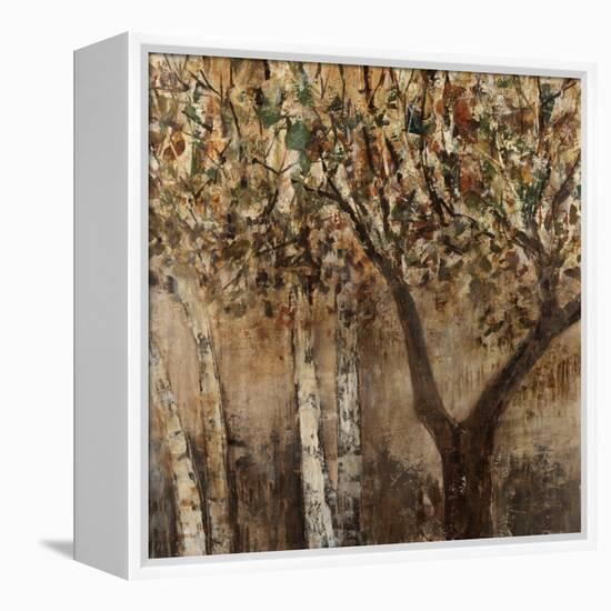 Tree Hugs-Jodi Maas-Framed Premier Image Canvas