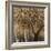 Tree Hugs-Jodi Maas-Framed Giclee Print