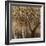 Tree Hugs-Jodi Maas-Framed Giclee Print