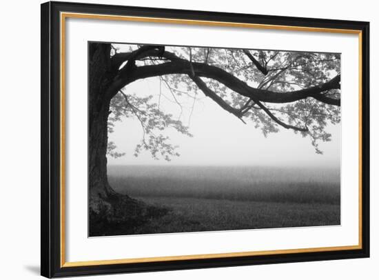 Tree in a farm, Knox Farm State Park, East Aurora, New York State, USA-null-Framed Photographic Print