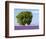 Tree in a Lavender Field, Valensole Plateau, Provence, France-Nadia Isakova-Framed Photographic Print