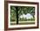 Tree in a Park in Germany-Felipe Rodriguez-Framed Photographic Print