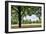 Tree in a Park in Germany-Felipe Rodriguez-Framed Photographic Print