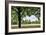 Tree in a Park in Germany-Felipe Rodriguez-Framed Photographic Print