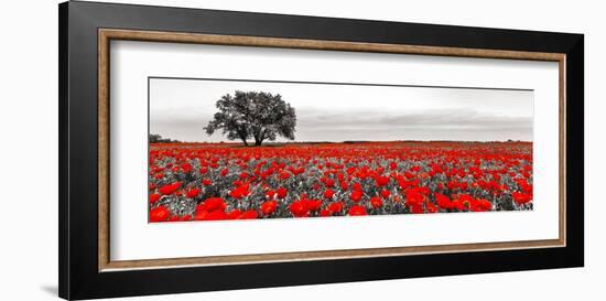 Tree in a poppy field-null-Framed Giclee Print