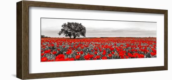 Tree in a poppy field-null-Framed Giclee Print