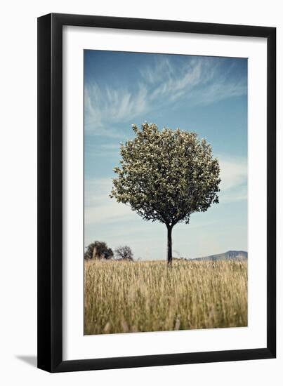 Tree in an Unmown Field with a Hill in the Background in Southern Burgenland, Austria-Rainer Schoditsch-Framed Photographic Print