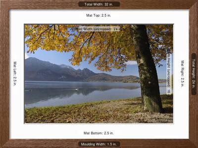Tree In Autumn Kochelsee Kochel Am See Bad Tolz Wolfratshausen Upper Bavaria Bavaria Germany Photographic Print Martin Ruegner Art Com