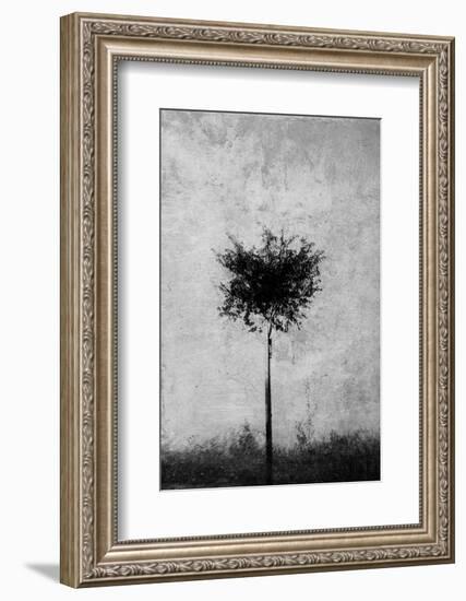 Tree in Black and White-Imaginative-Framed Photographic Print