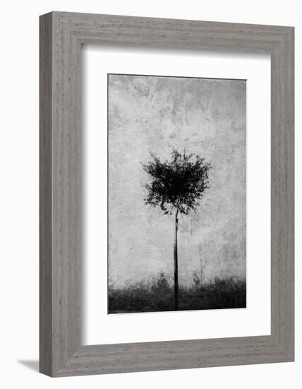 Tree in Black and White-Imaginative-Framed Photographic Print