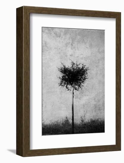 Tree in Black and White-Imaginative-Framed Photographic Print