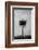 Tree in Black and White-Imaginative-Framed Photographic Print