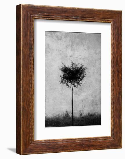 Tree in Black and White-Imaginative-Framed Photographic Print