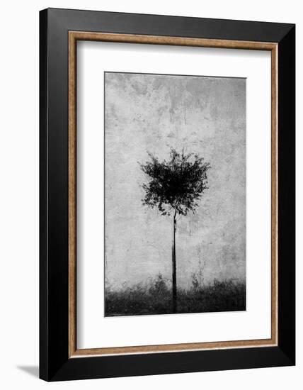 Tree in Black and White-Imaginative-Framed Photographic Print