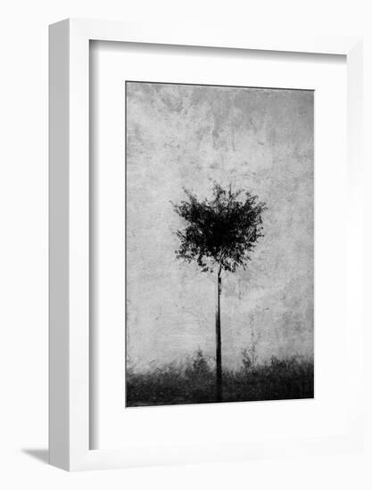 Tree in Black and White-Imaginative-Framed Photographic Print