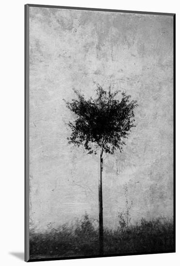 Tree in Black and White-Imaginative-Mounted Photographic Print