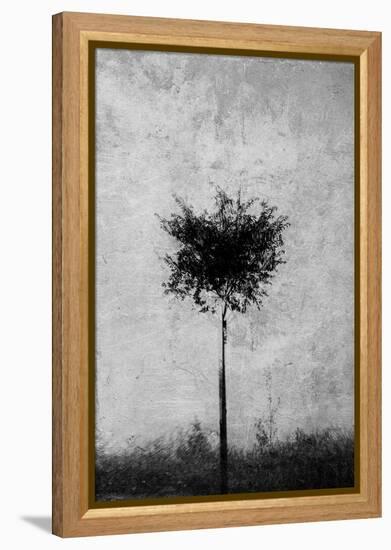 Tree in Black and White-Imaginative-Framed Premier Image Canvas