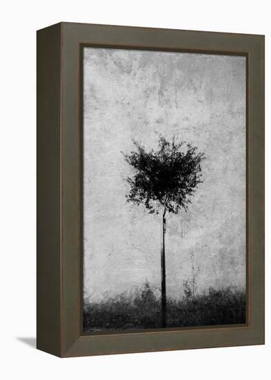 Tree in Black and White-Imaginative-Framed Premier Image Canvas