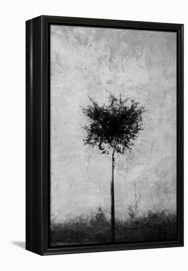 Tree in Black and White-Imaginative-Framed Premier Image Canvas