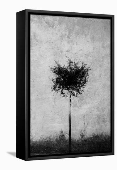 Tree in Black and White-Imaginative-Framed Premier Image Canvas