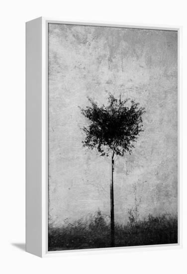 Tree in Black and White-Imaginative-Framed Premier Image Canvas