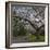 Tree in Blook, Keukenhof Gardens, Holland-Anna Miller-Framed Photographic Print