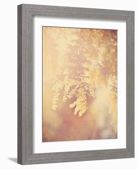 Tree in Bloom-Myan Soffia-Framed Photographic Print