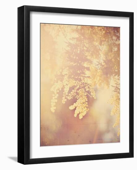 Tree in Bloom-Myan Soffia-Framed Photographic Print