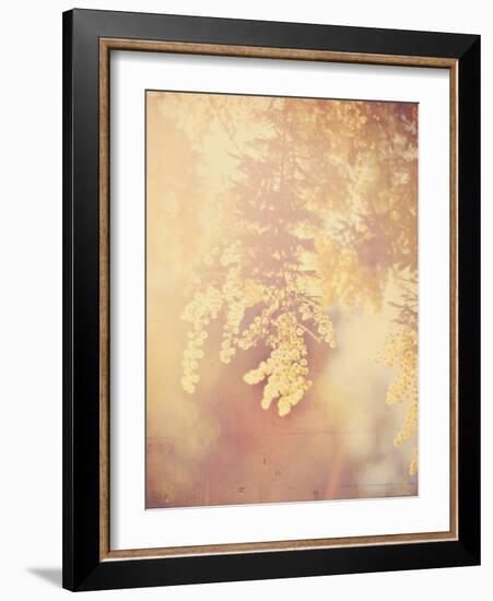 Tree in Bloom-Myan Soffia-Framed Photographic Print